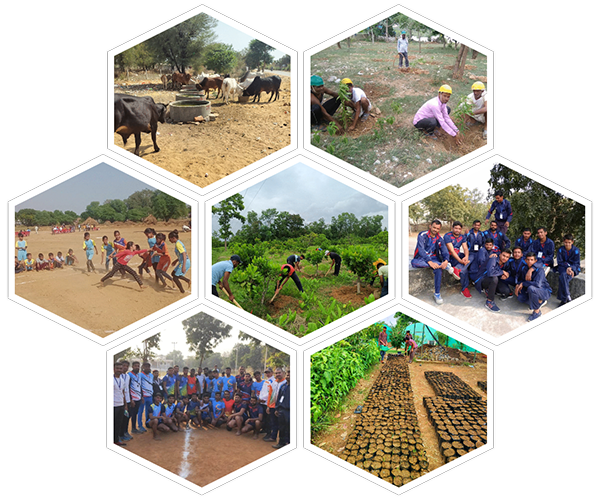 About Us NGO